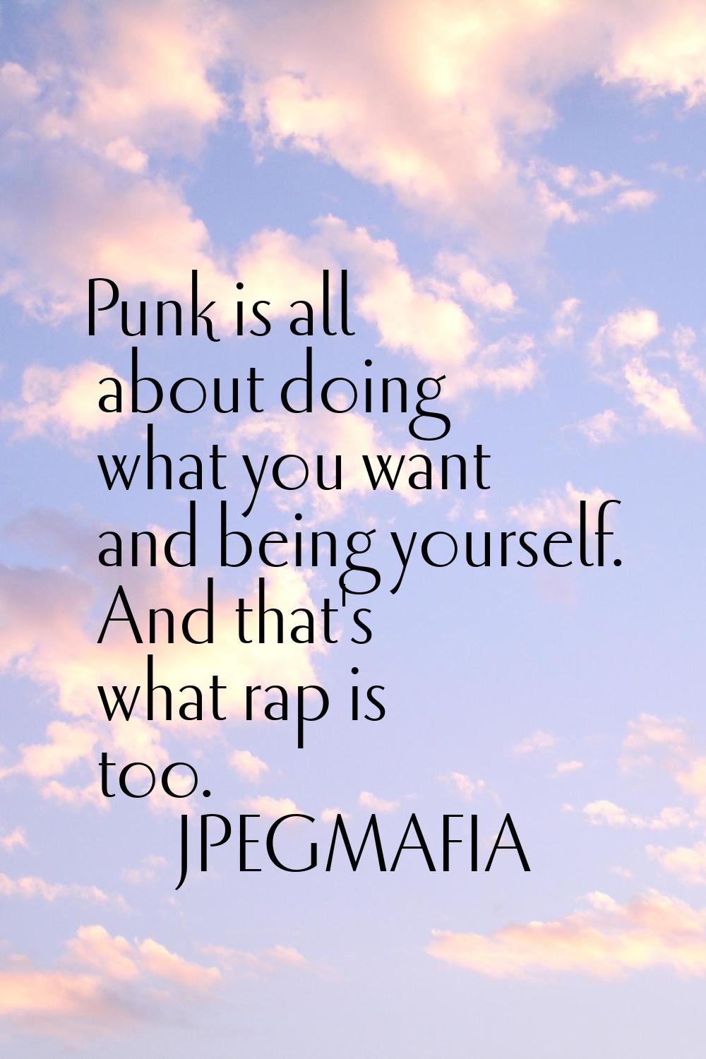 Punk is all about doing what you want and being yourself. And that's what rap is too.