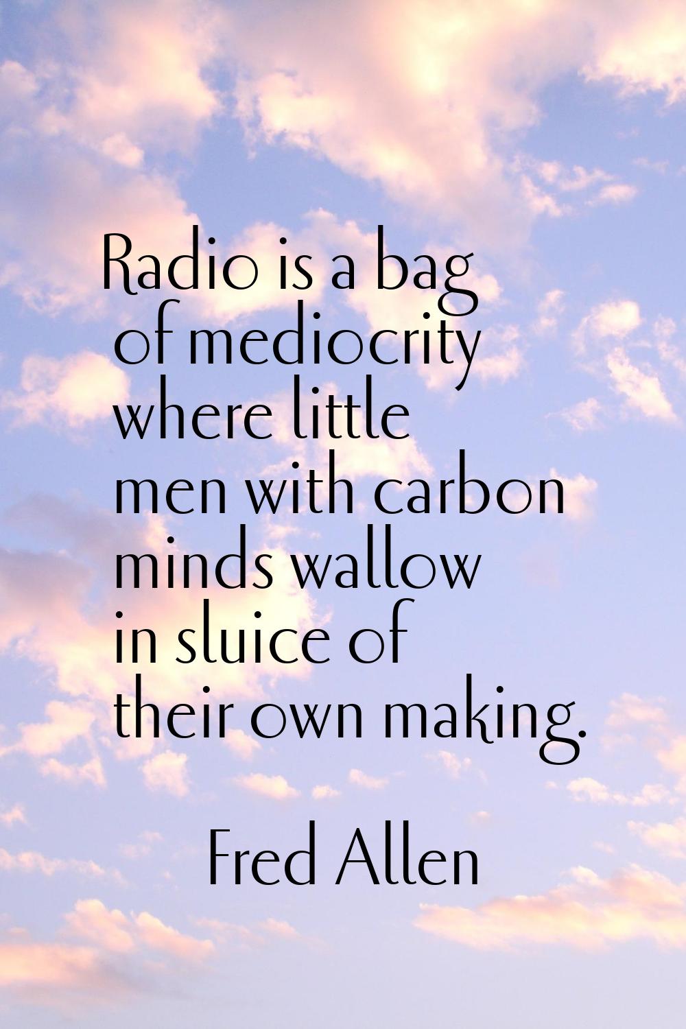 Radio is a bag of mediocrity where little men with carbon minds wallow in sluice of their own makin
