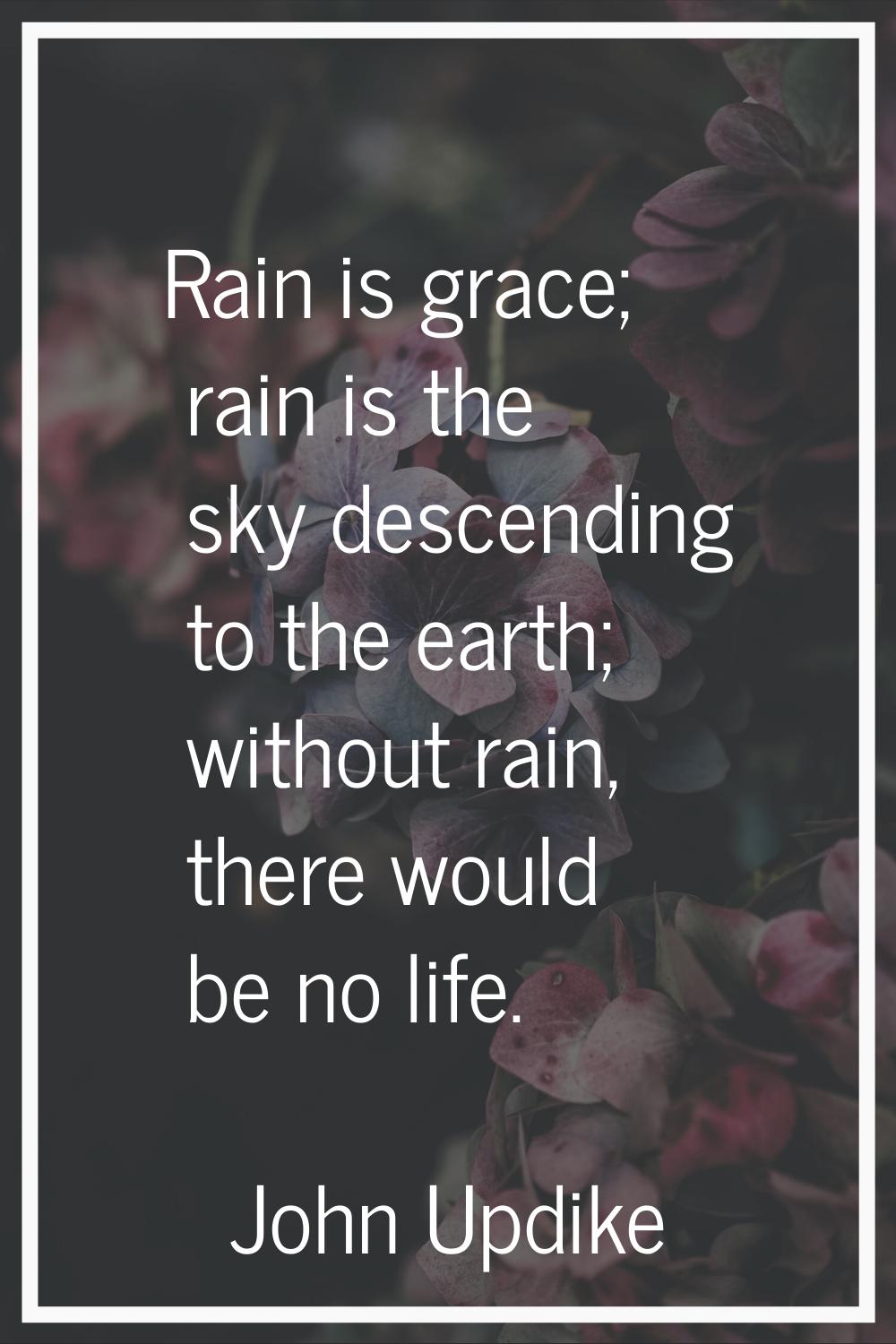 Rain is grace; rain is the sky descending to the earth; without rain, there would be no life.
