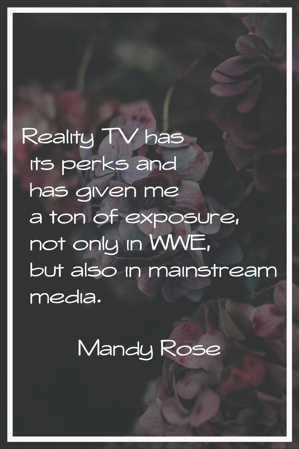 Reality TV has its perks and has given me a ton of exposure, not only in WWE, but also in mainstrea