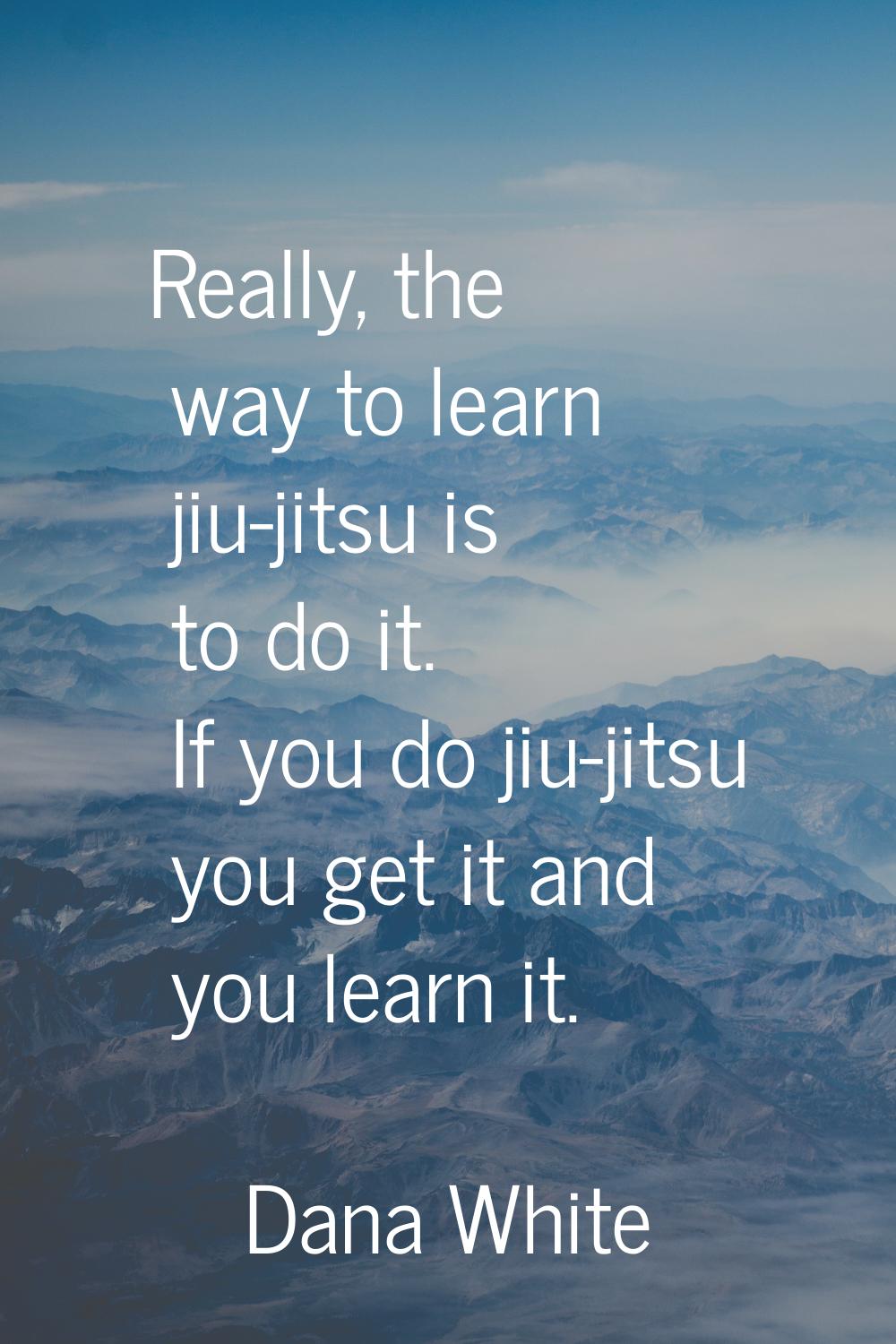 Really, the way to learn jiu-jitsu is to do it. If you do jiu-jitsu you get it and you learn it.