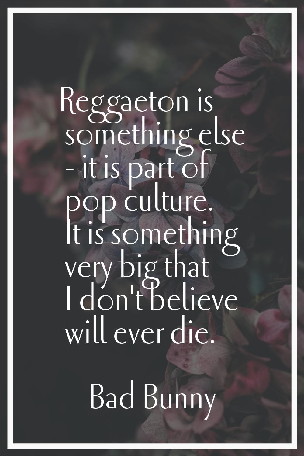 Reggaeton is something else - it is part of pop culture. It is something very big that I don't beli