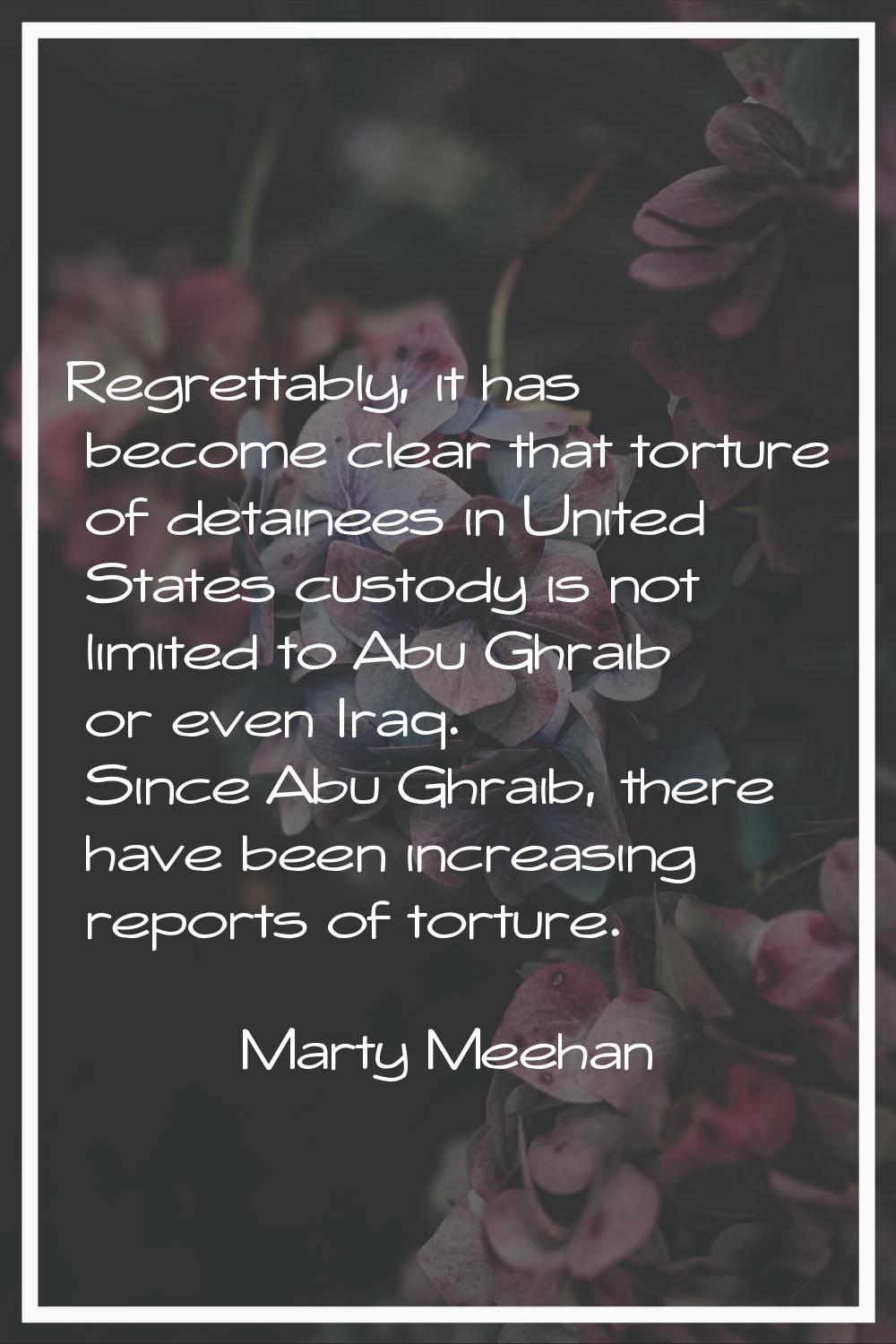 Regrettably, it has become clear that torture of detainees in United States custody is not limited 