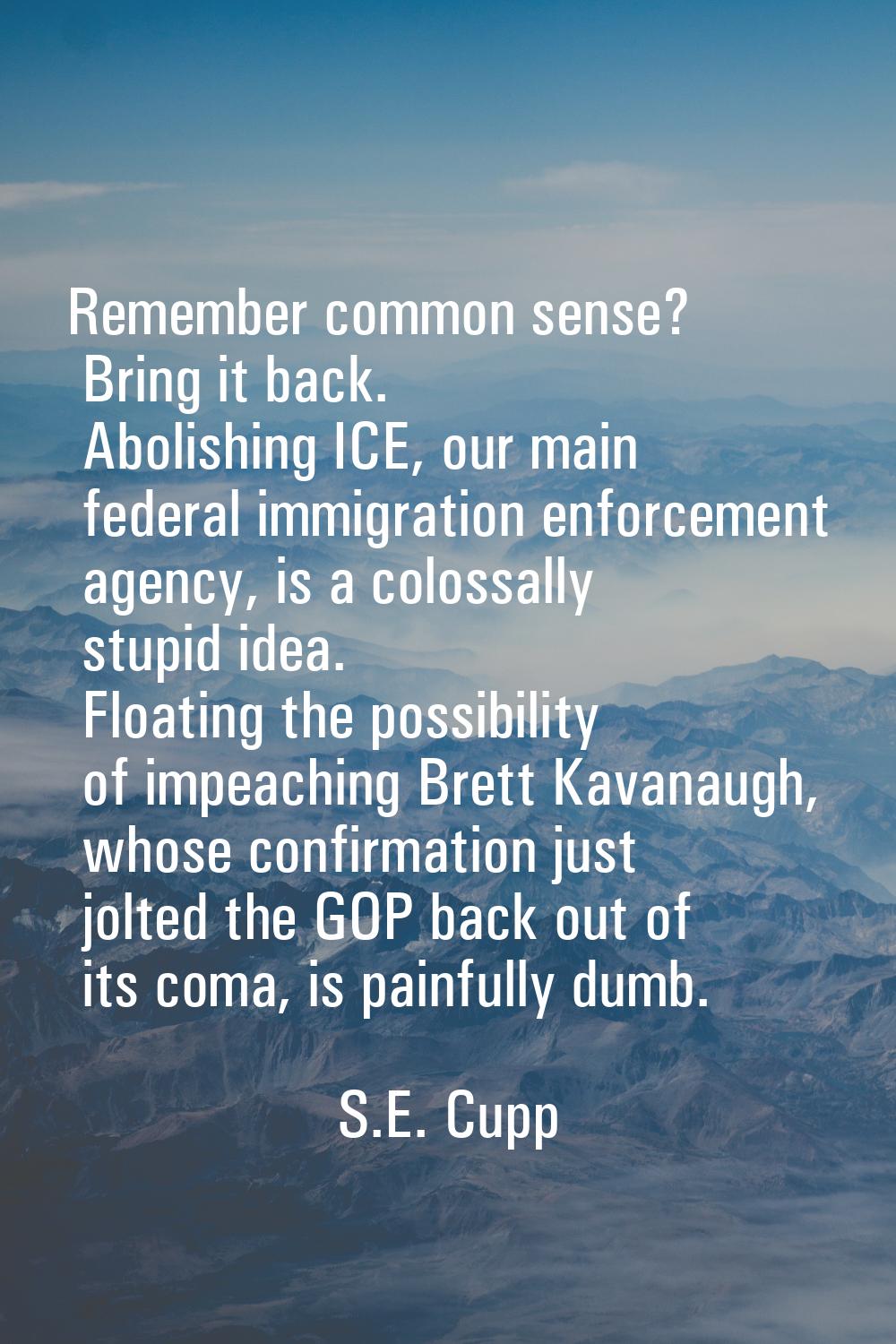 Remember common sense? Bring it back. Abolishing ICE, our main federal immigration enforcement agen