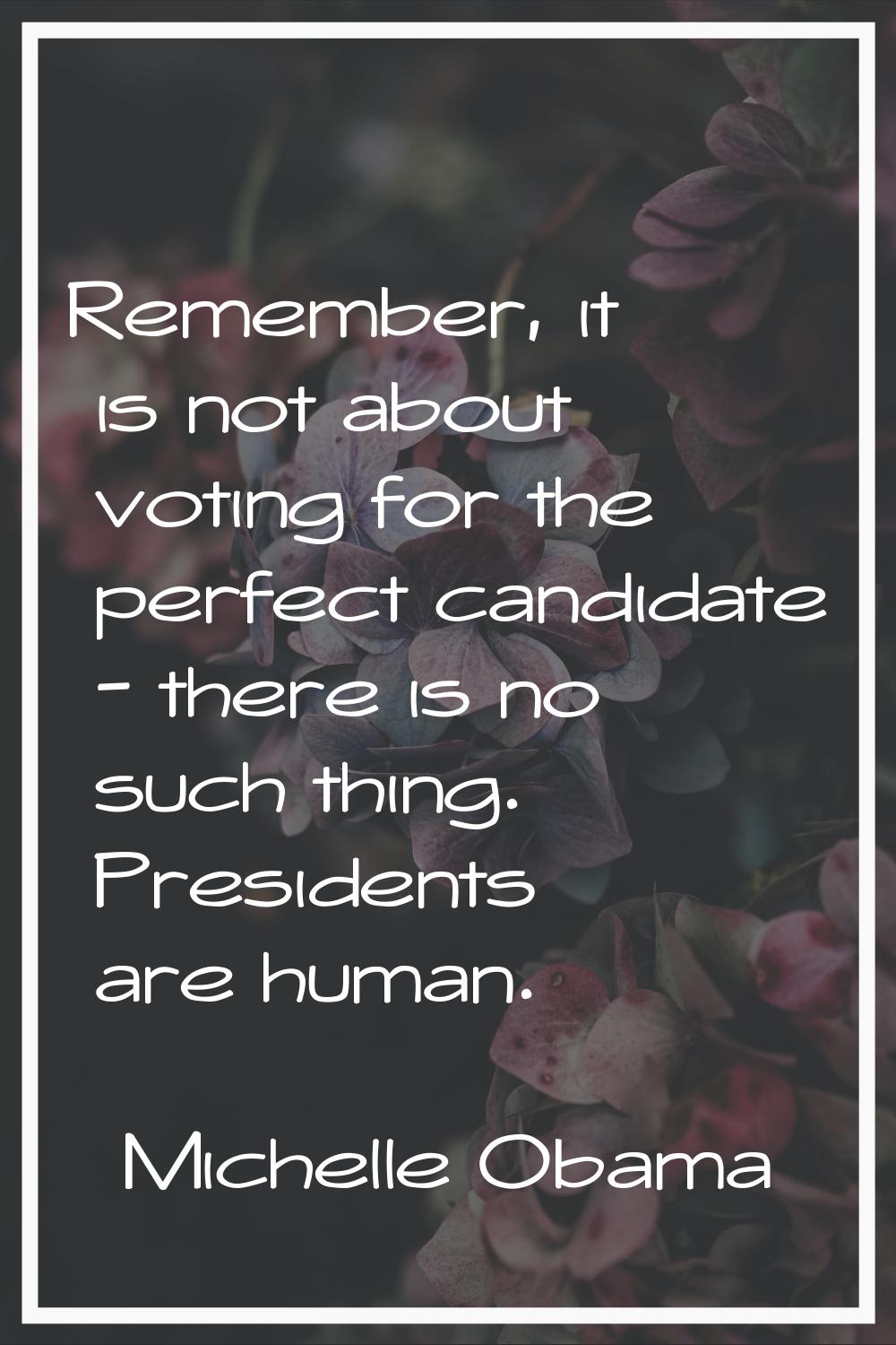 Remember, it is not about voting for the perfect candidate - there is no such thing. Presidents are