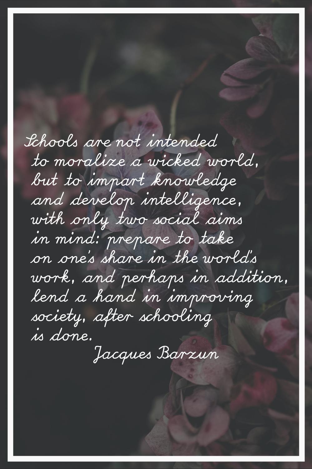 Schools are not intended to moralize a wicked world, but to impart knowledge and develop intelligen