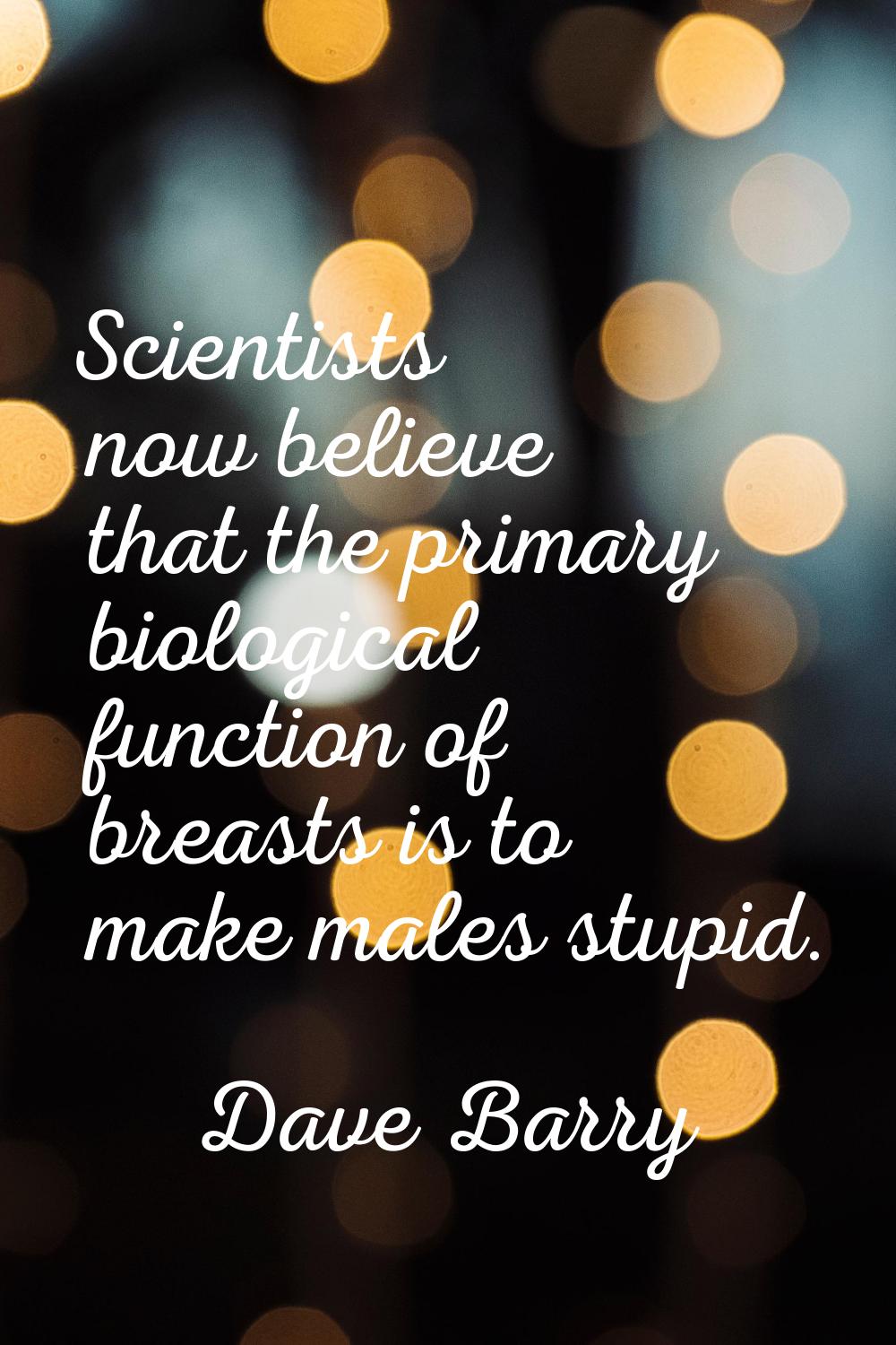 Scientists now believe that the primary biological function of breasts is to make males stupid.