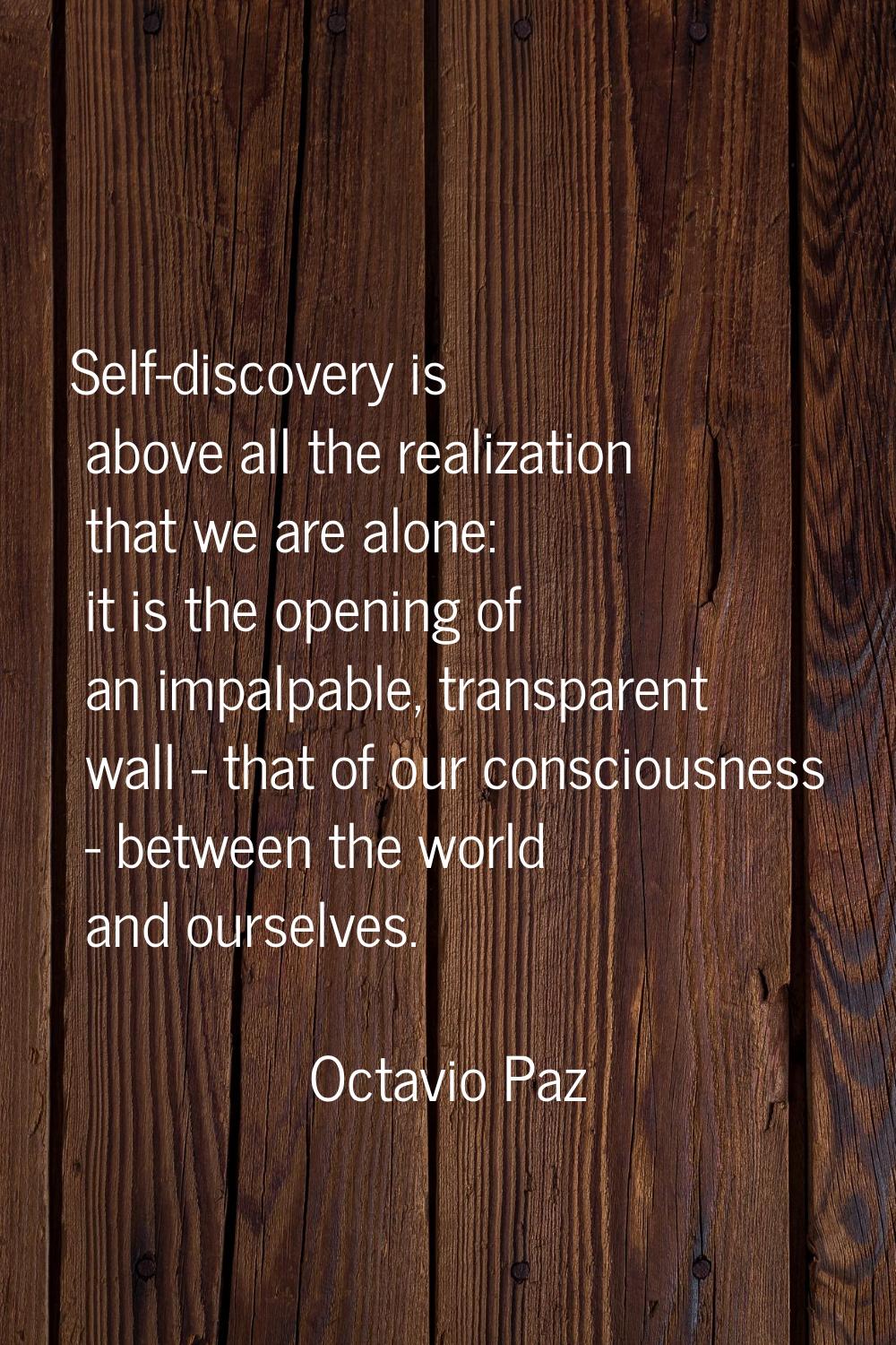 Self-discovery is above all the realization that we are alone: it is the opening of an impalpable, 