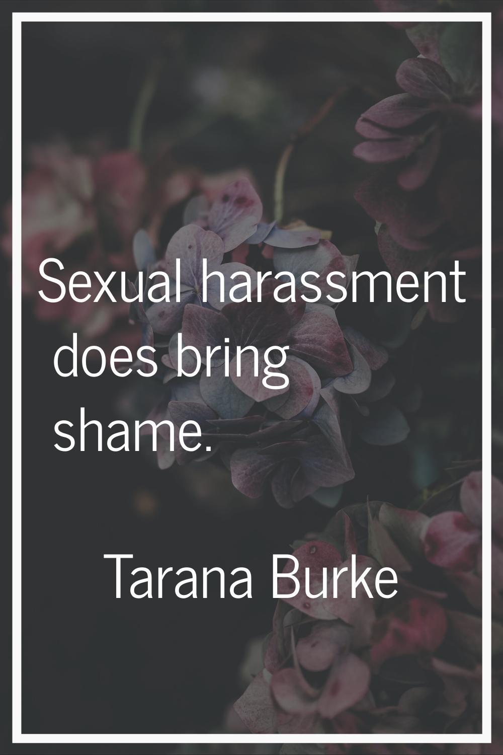 Sexual harassment does bring shame.