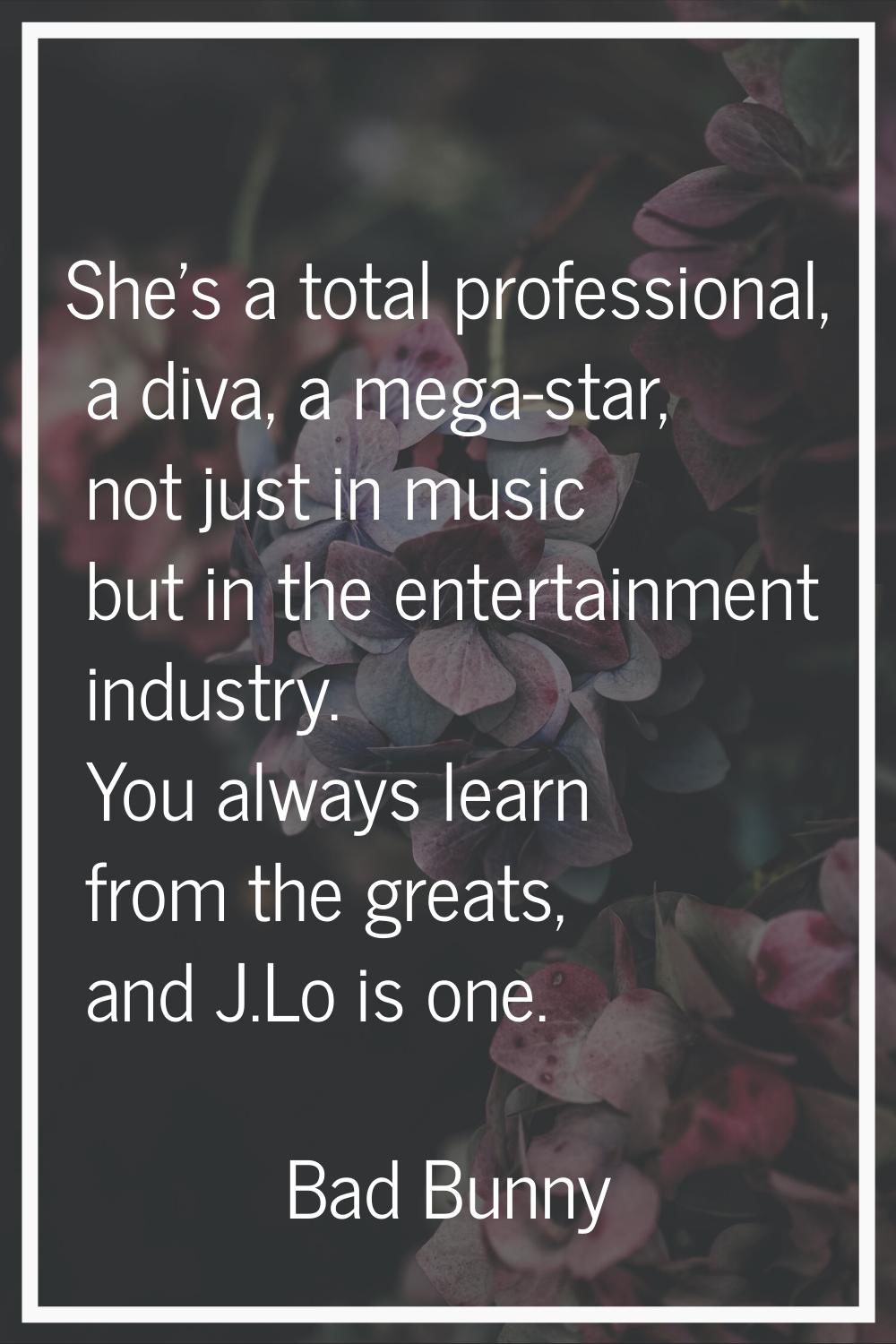 She's a total professional, a diva, a mega-star, not just in music but in the entertainment industr