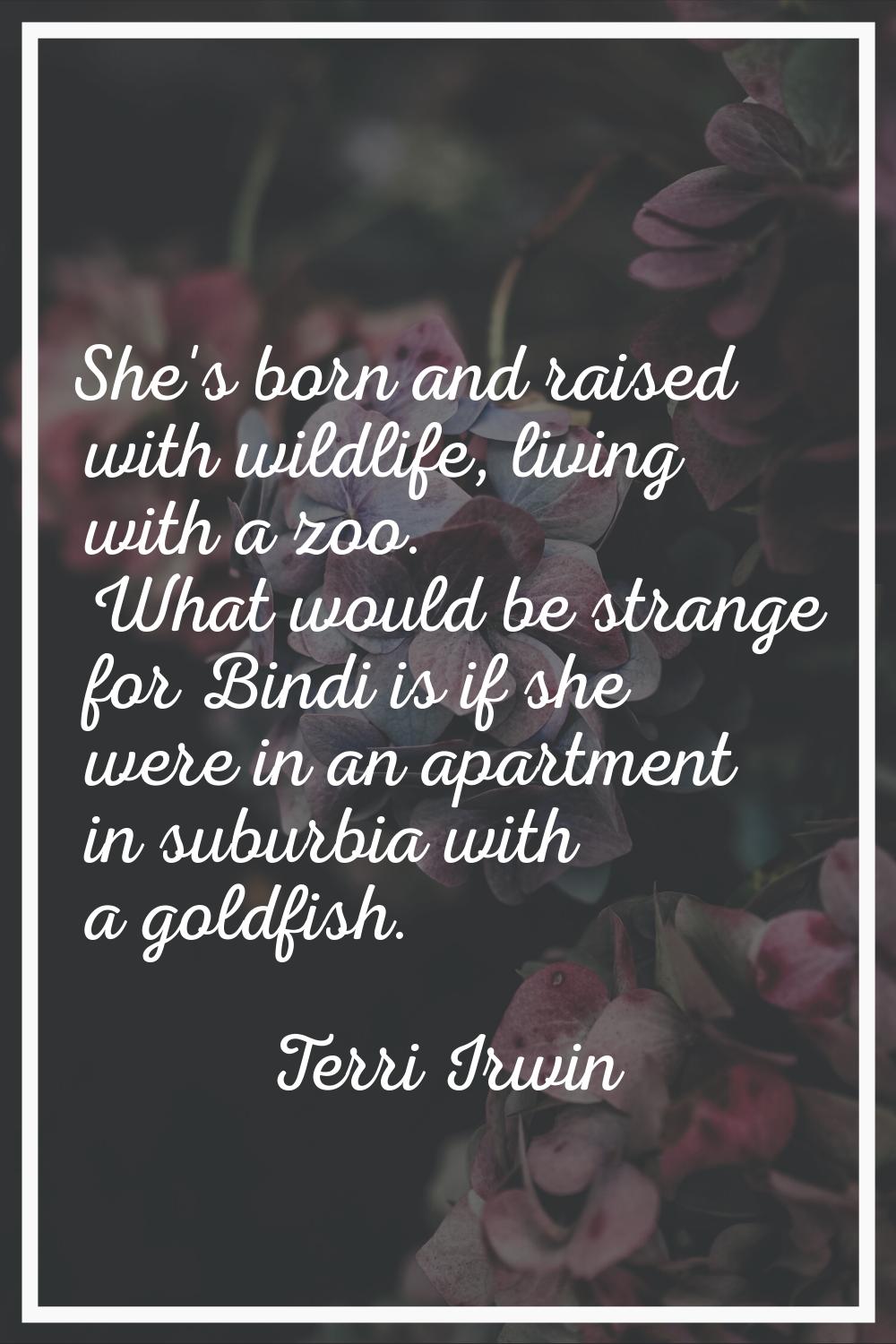 She's born and raised with wildlife, living with a zoo. What would be strange for Bindi is if she w