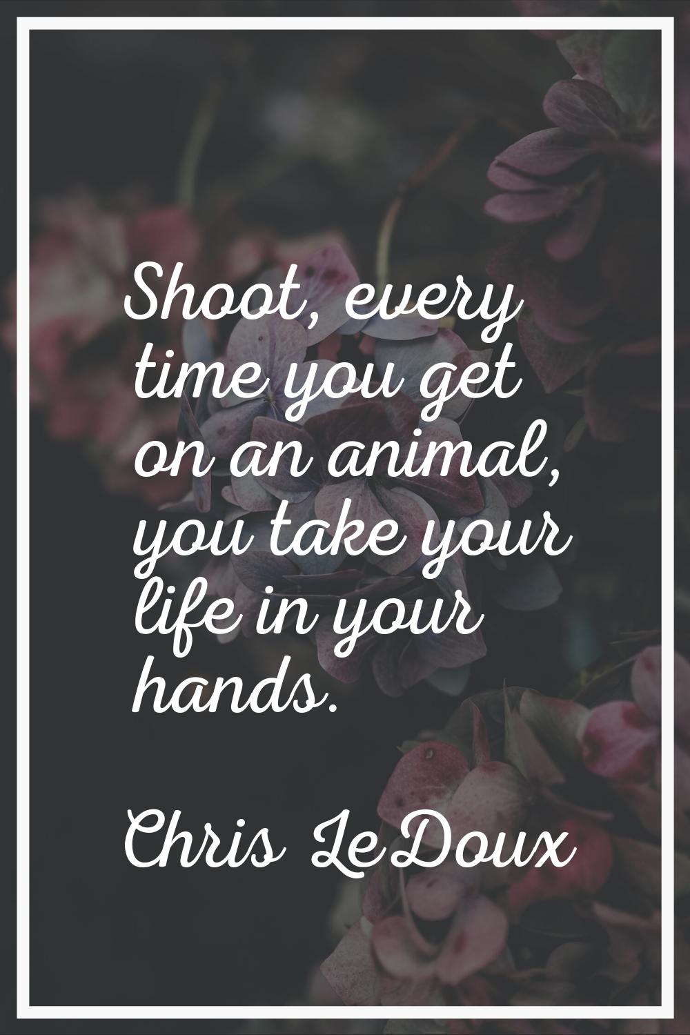 Shoot, every time you get on an animal, you take your life in your hands.