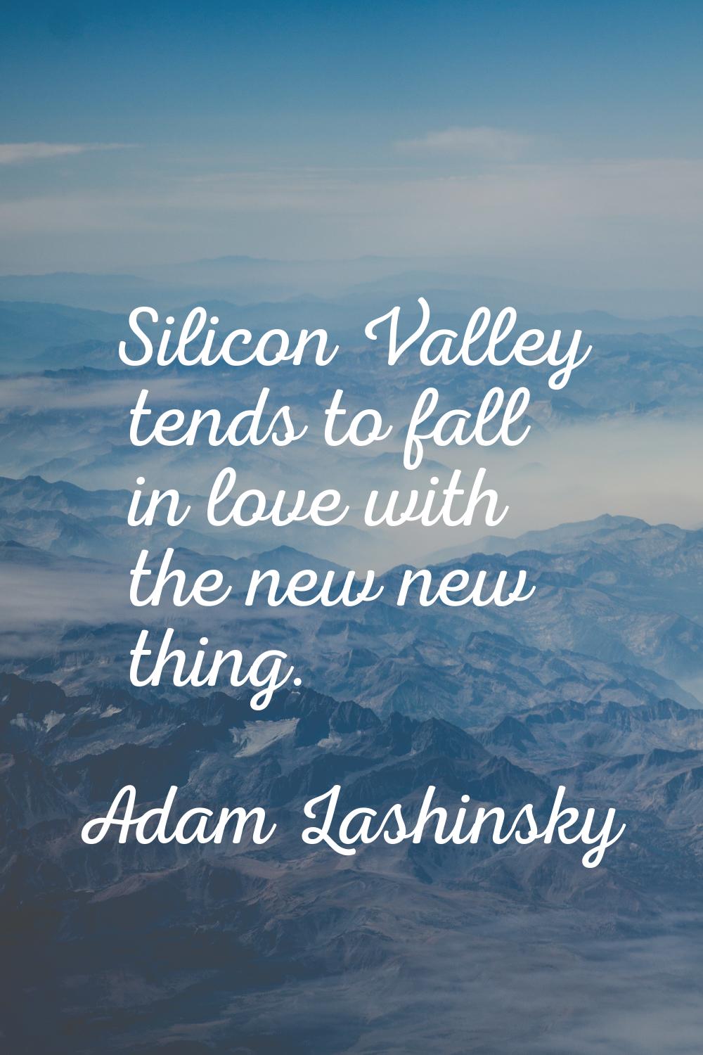Silicon Valley tends to fall in love with the new new thing.