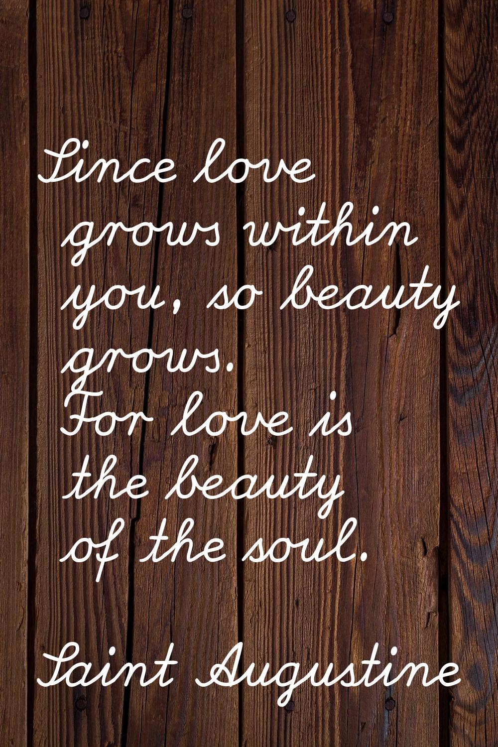 Since love grows within you, so beauty grows. For love is the beauty of the soul.