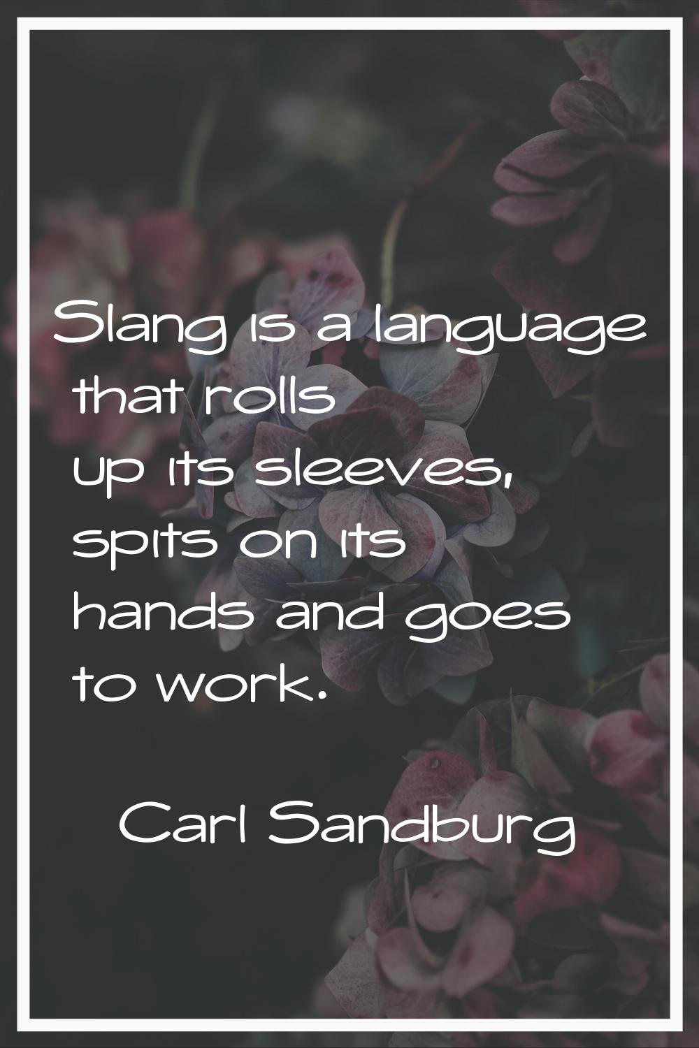 Slang is a language that rolls up its sleeves, spits on its hands and goes to work.