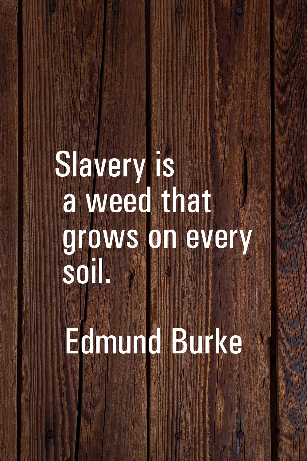 Slavery is a weed that grows on every soil.