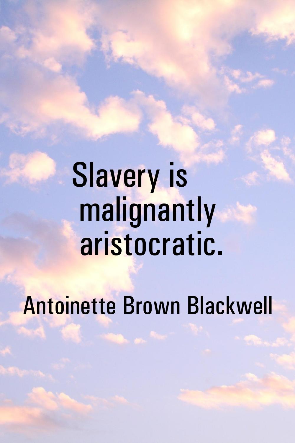 Slavery is malignantly aristocratic.