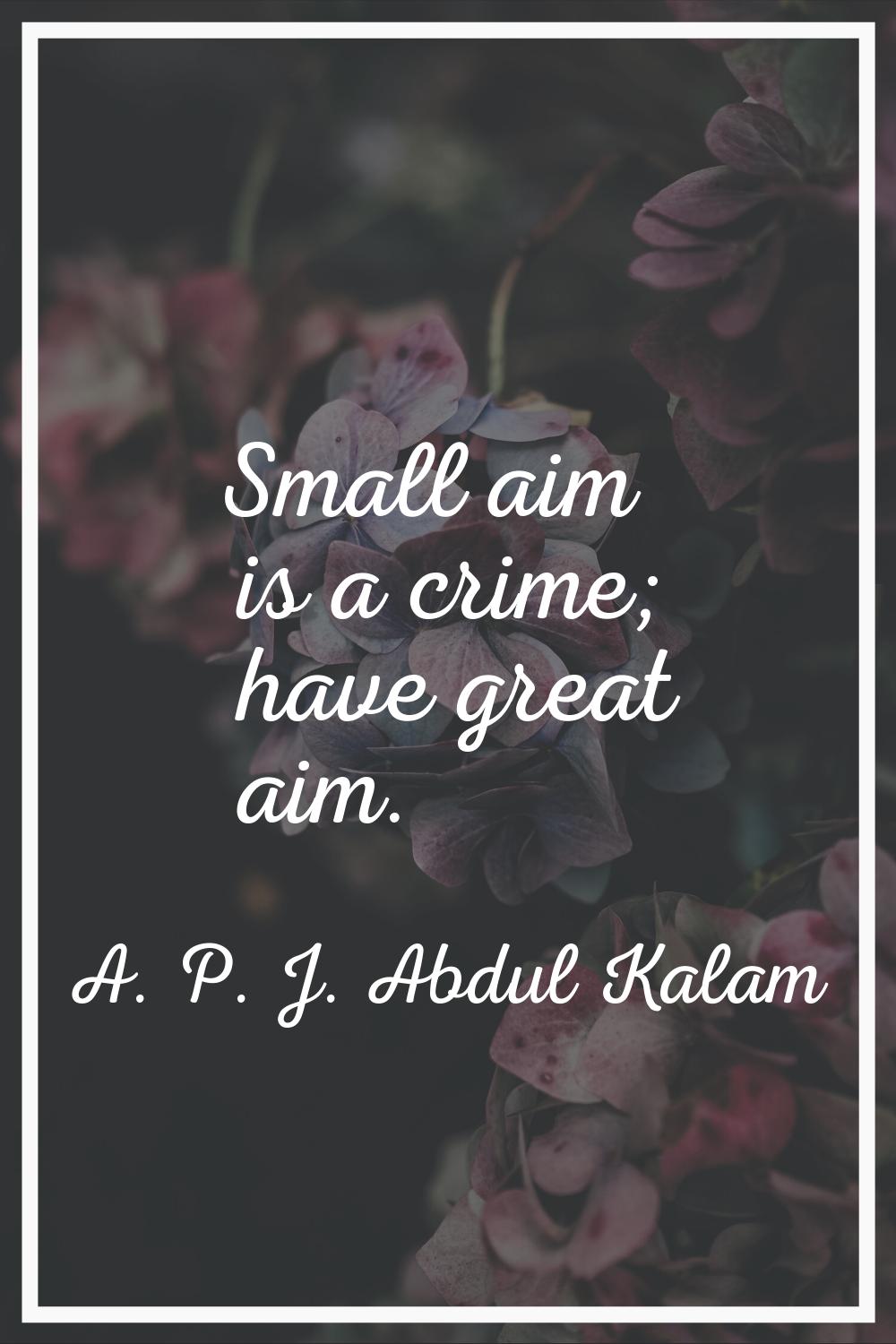 Small aim is a crime; have great aim.
