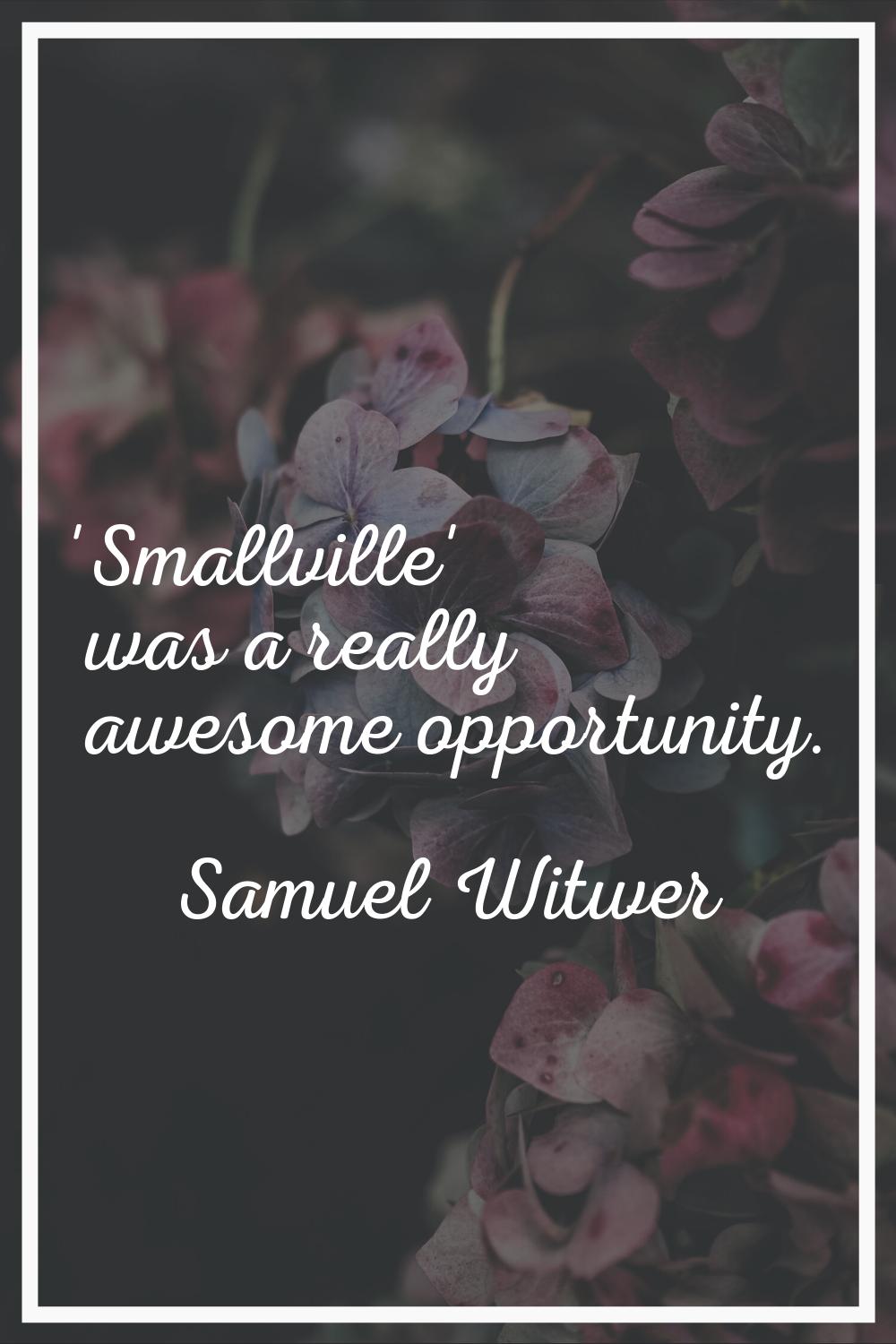 'Smallville' was a really awesome opportunity.