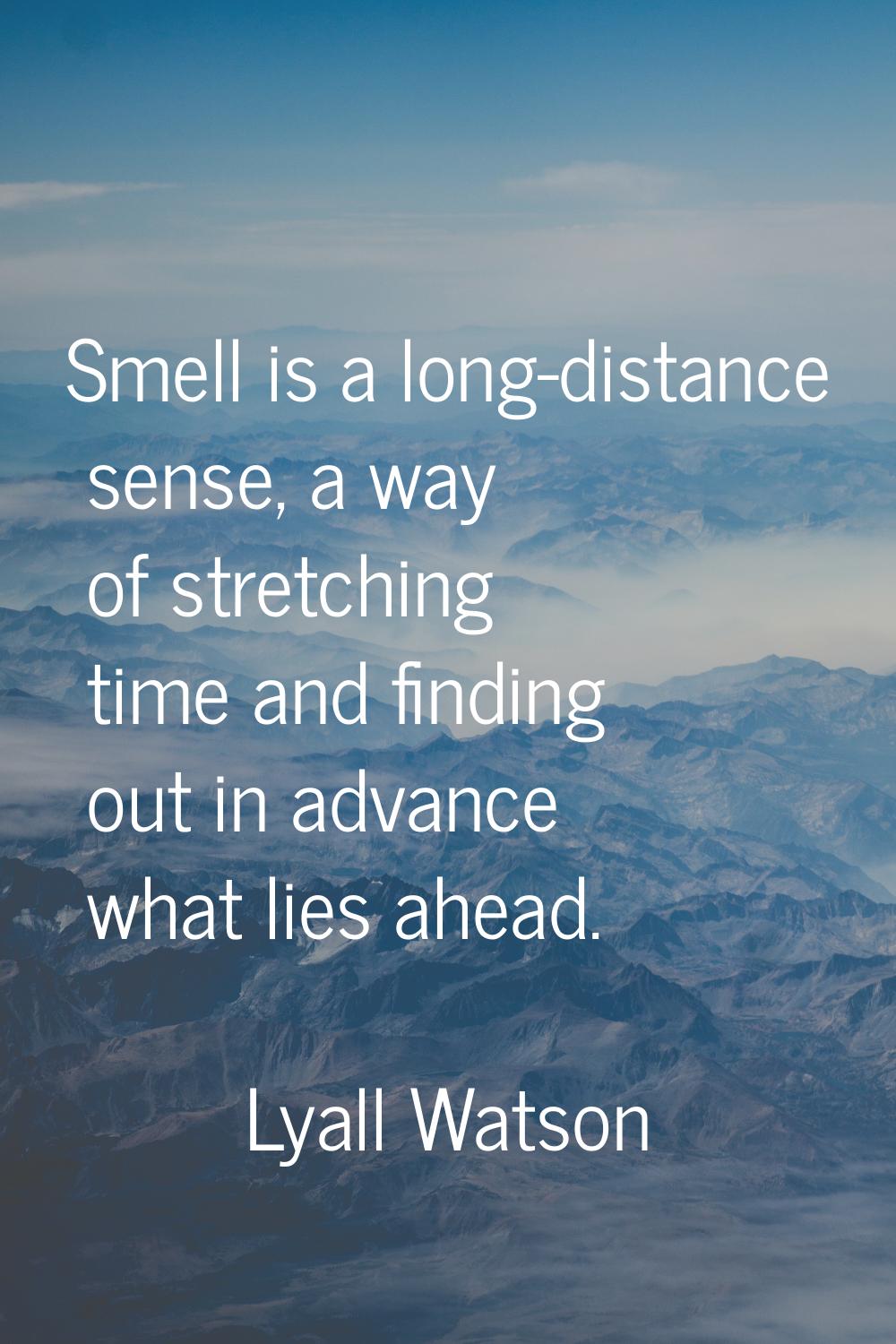 Smell is a long-distance sense, a way of stretching time and finding out in advance what lies ahead