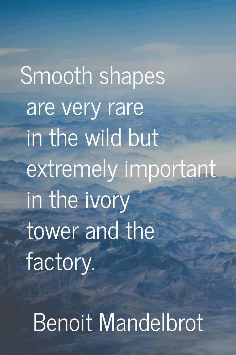 Smooth shapes are very rare in the wild but extremely important in the ivory tower and the factory.