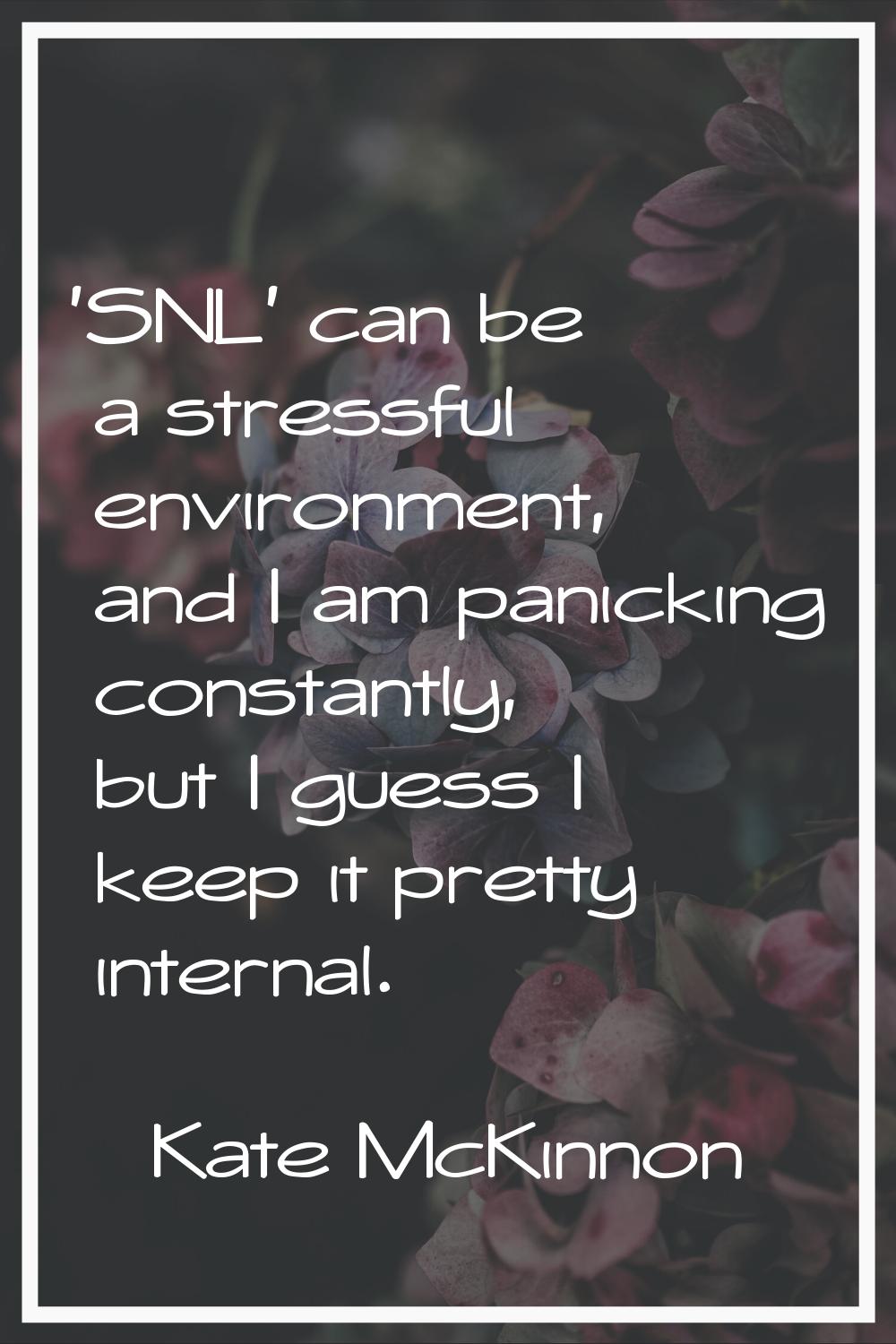 'SNL' can be a stressful environment, and I am panicking constantly, but I guess I keep it pretty i