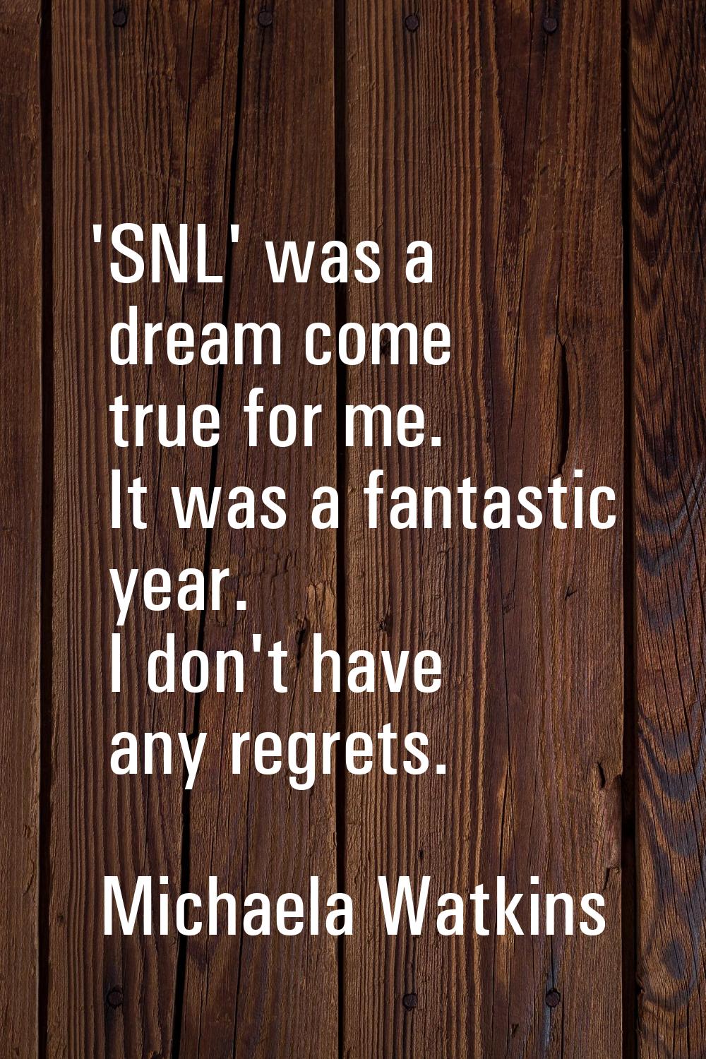 'SNL' was a dream come true for me. It was a fantastic year. I don't have any regrets.