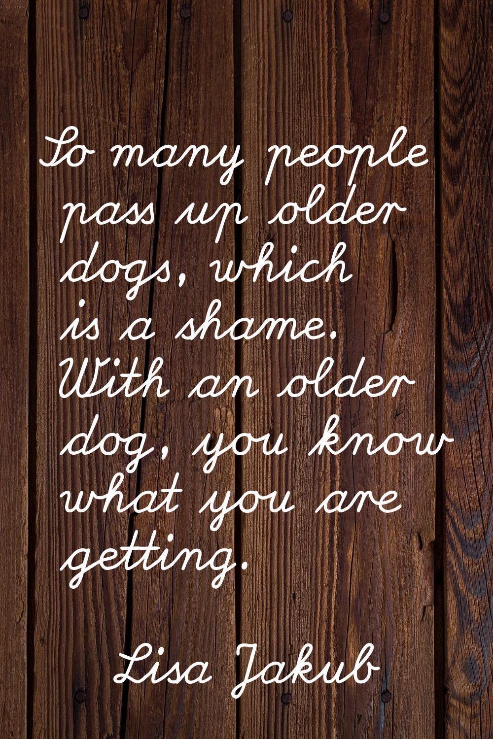 So many people pass up older dogs, which is a shame. With an older dog, you know what you are getti