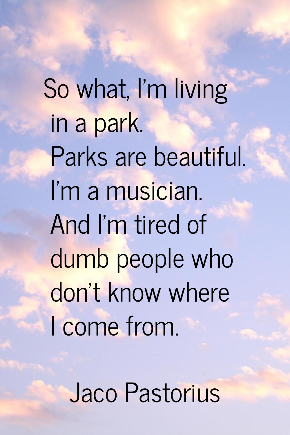 So what, I'm living in a park. Parks are beautiful. I'm a musician. And I'm tired of dumb people wh