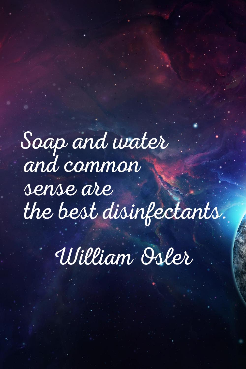 Soap and water and common sense are the best disinfectants.