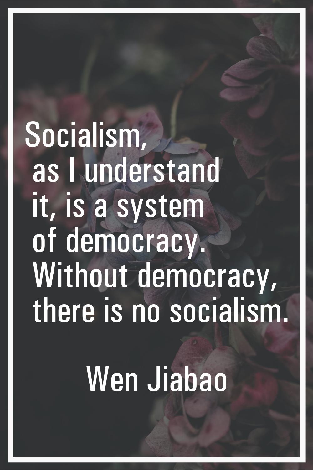 Socialism, as I understand it, is a system of democracy. Without democracy, there is no socialism.
