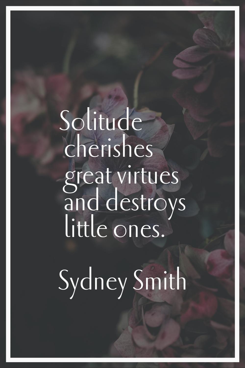 Solitude cherishes great virtues and destroys little ones.