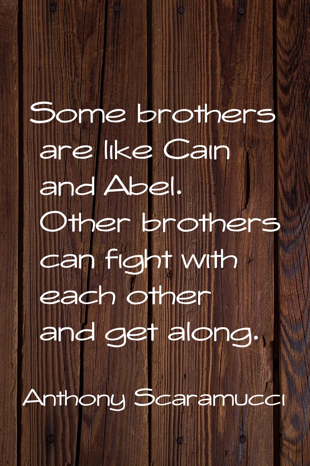 Some brothers are like Cain and Abel. Other brothers can fight with each other and get along.