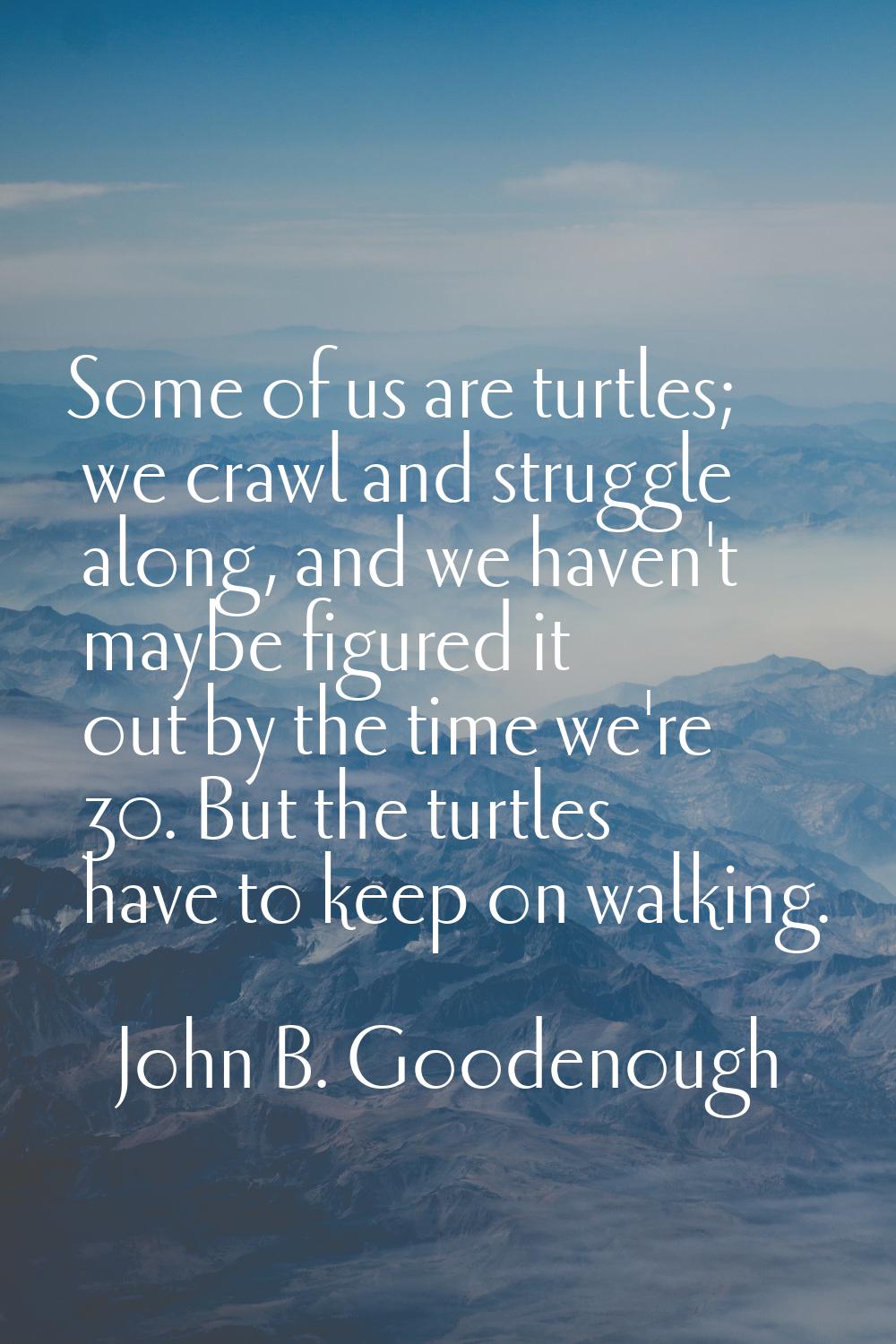 Some of us are turtles; we crawl and struggle along, and we haven't maybe figured it out by the tim