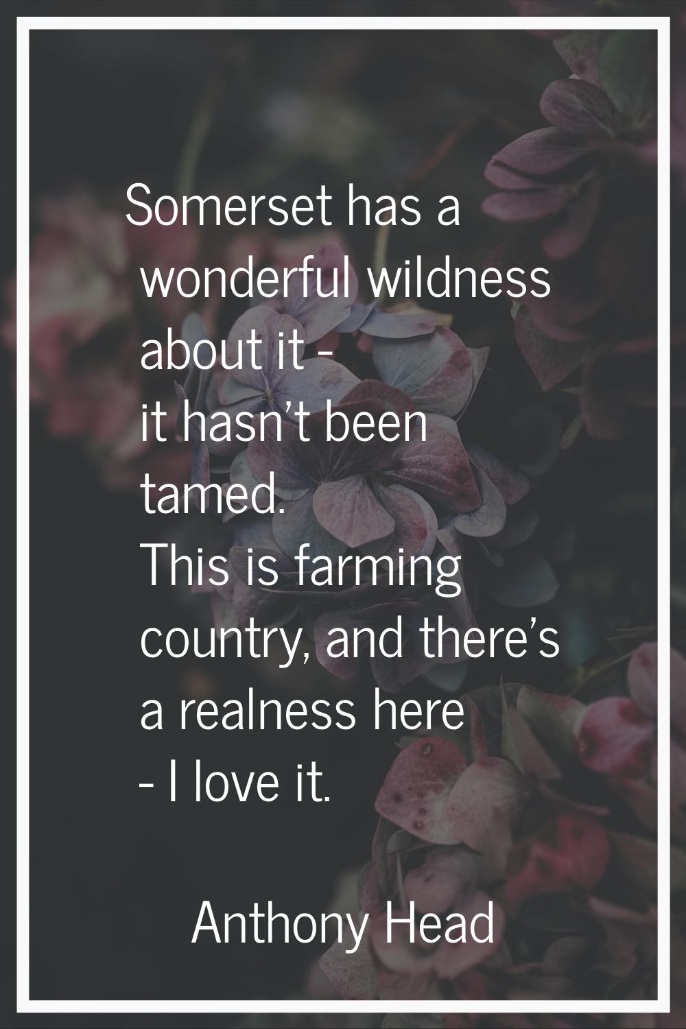 Somerset has a wonderful wildness about it - it hasn't been tamed. This is farming country, and the