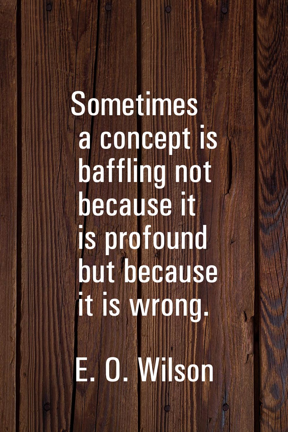 Sometimes a concept is baffling not because it is profound but because it is wrong.