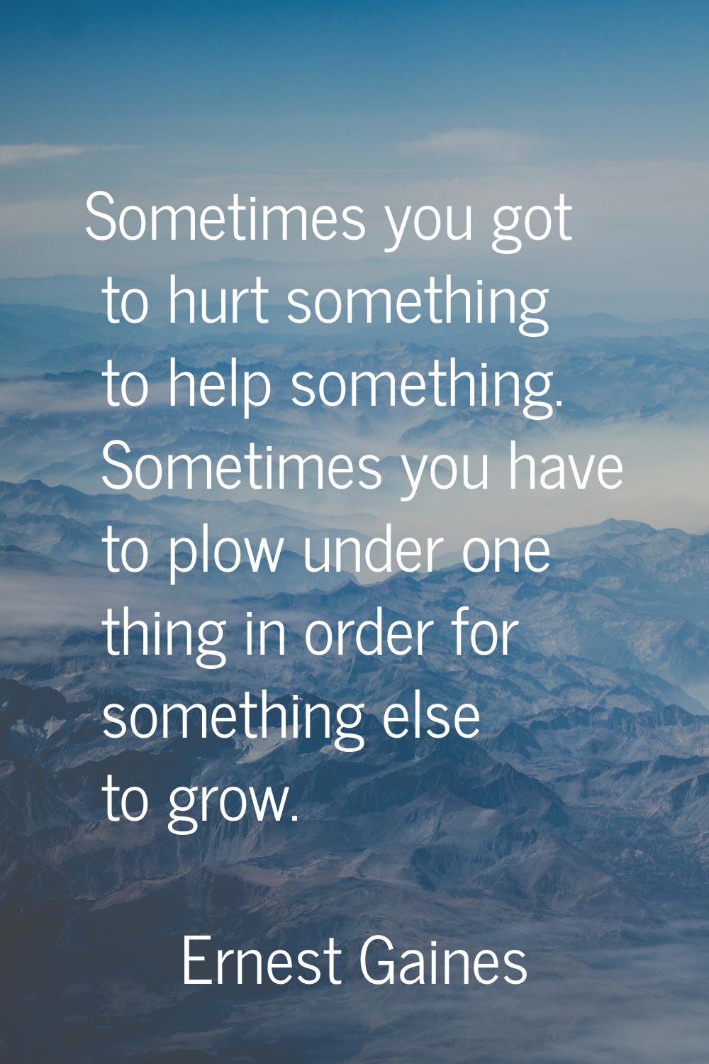 Sometimes you got to hurt something to help something. Sometimes you have to plow under one thing i