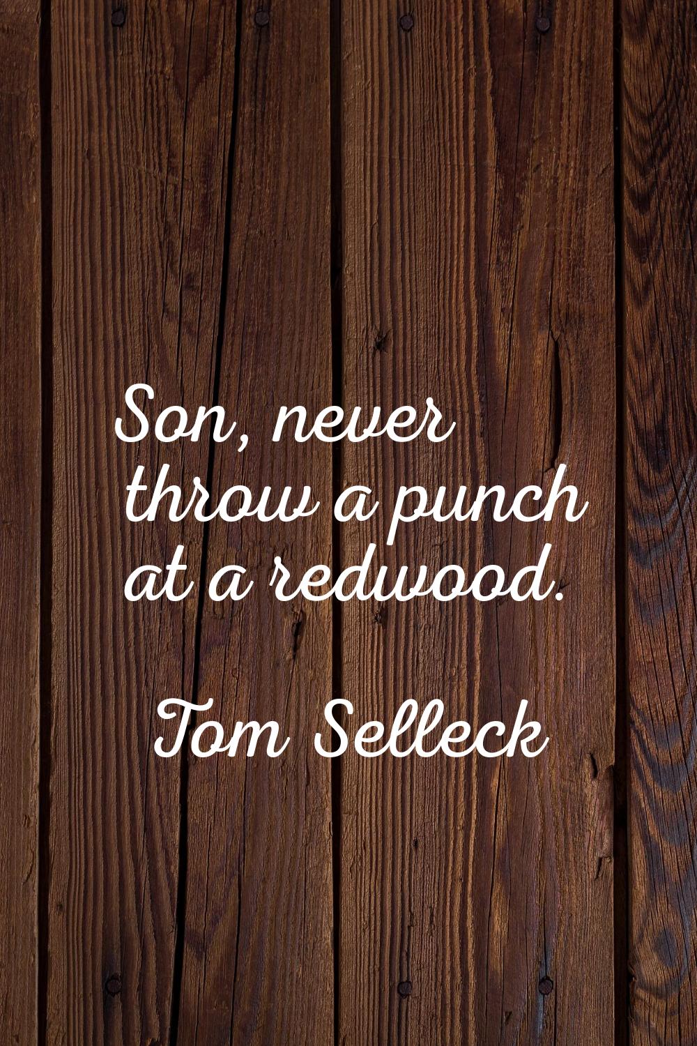Son, never throw a punch at a redwood.