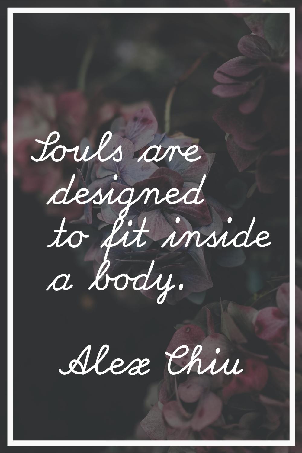Souls are designed to fit inside a body.