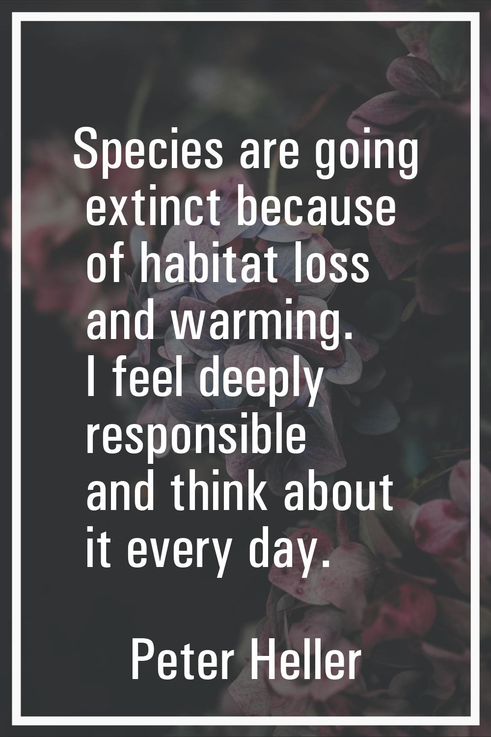 Species are going extinct because of habitat loss and warming. I feel deeply responsible and think 