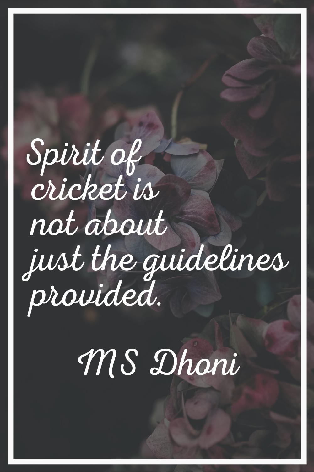 Spirit of cricket is not about just the guidelines provided.