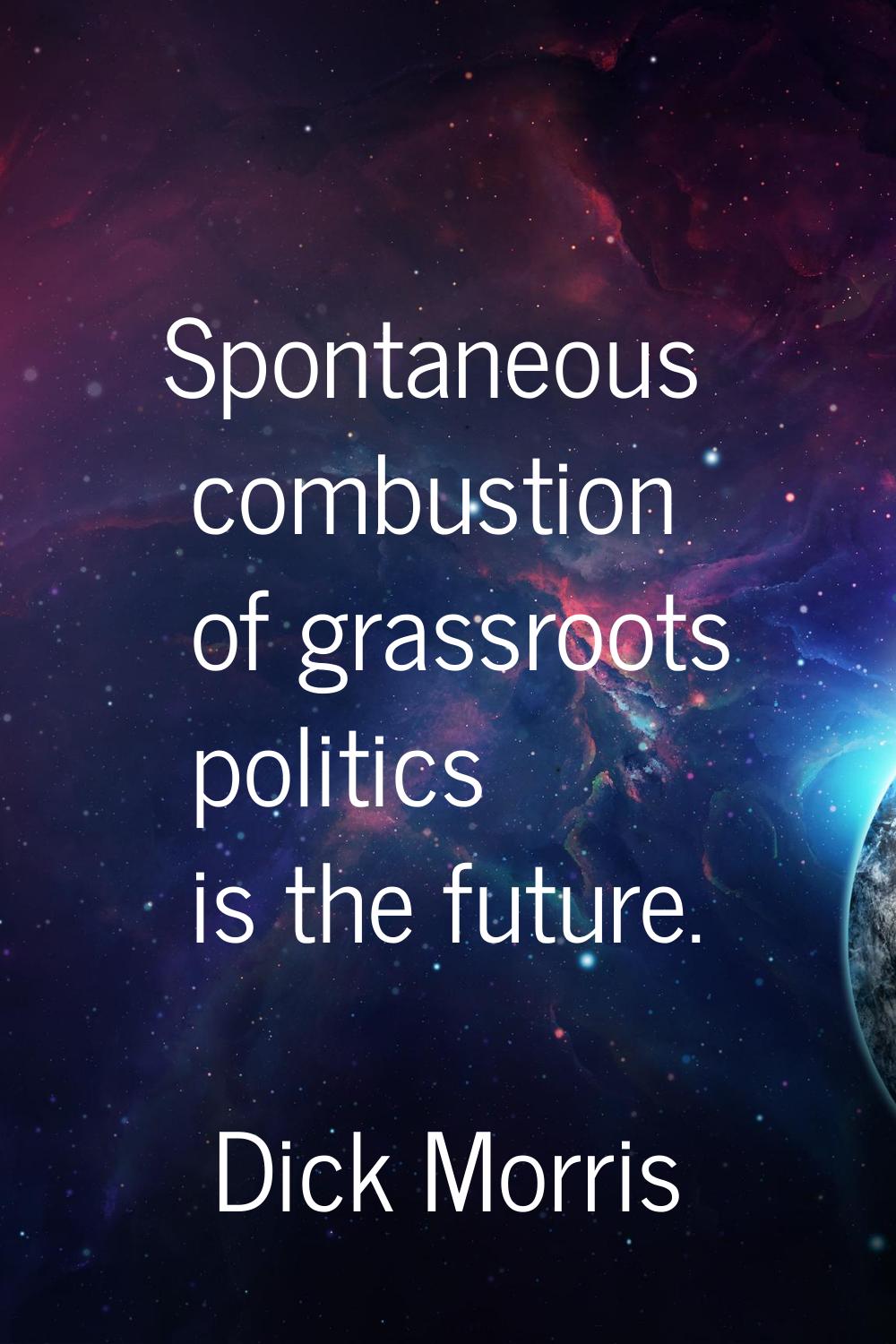Spontaneous combustion of grassroots politics is the future.