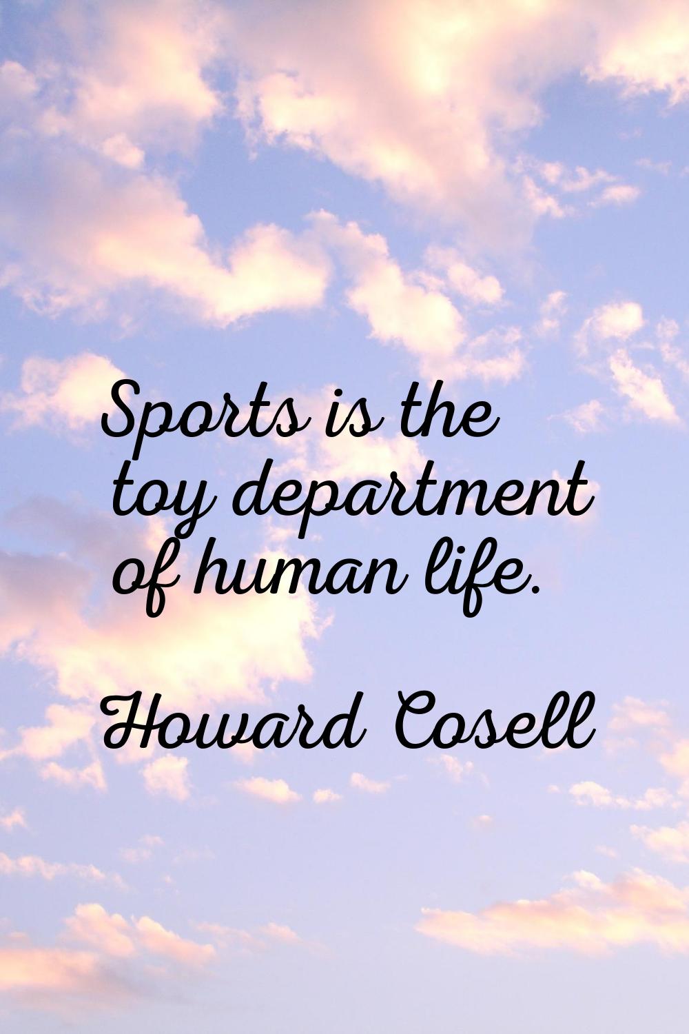 Sports is the toy department of human life.