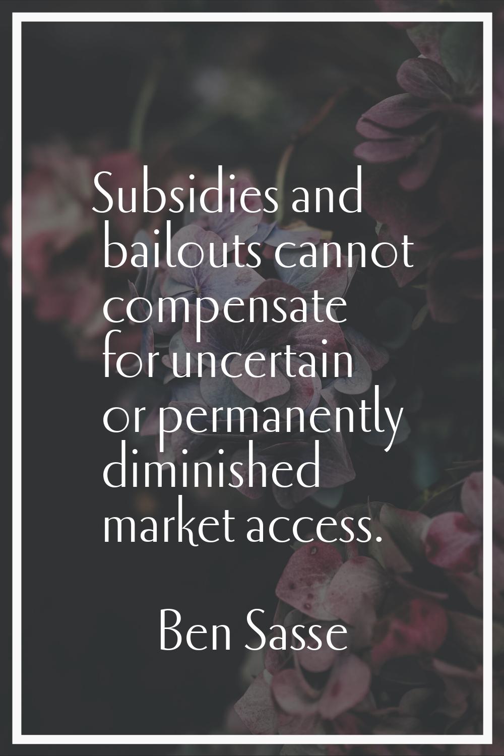 Subsidies and bailouts cannot compensate for uncertain or permanently diminished market access.