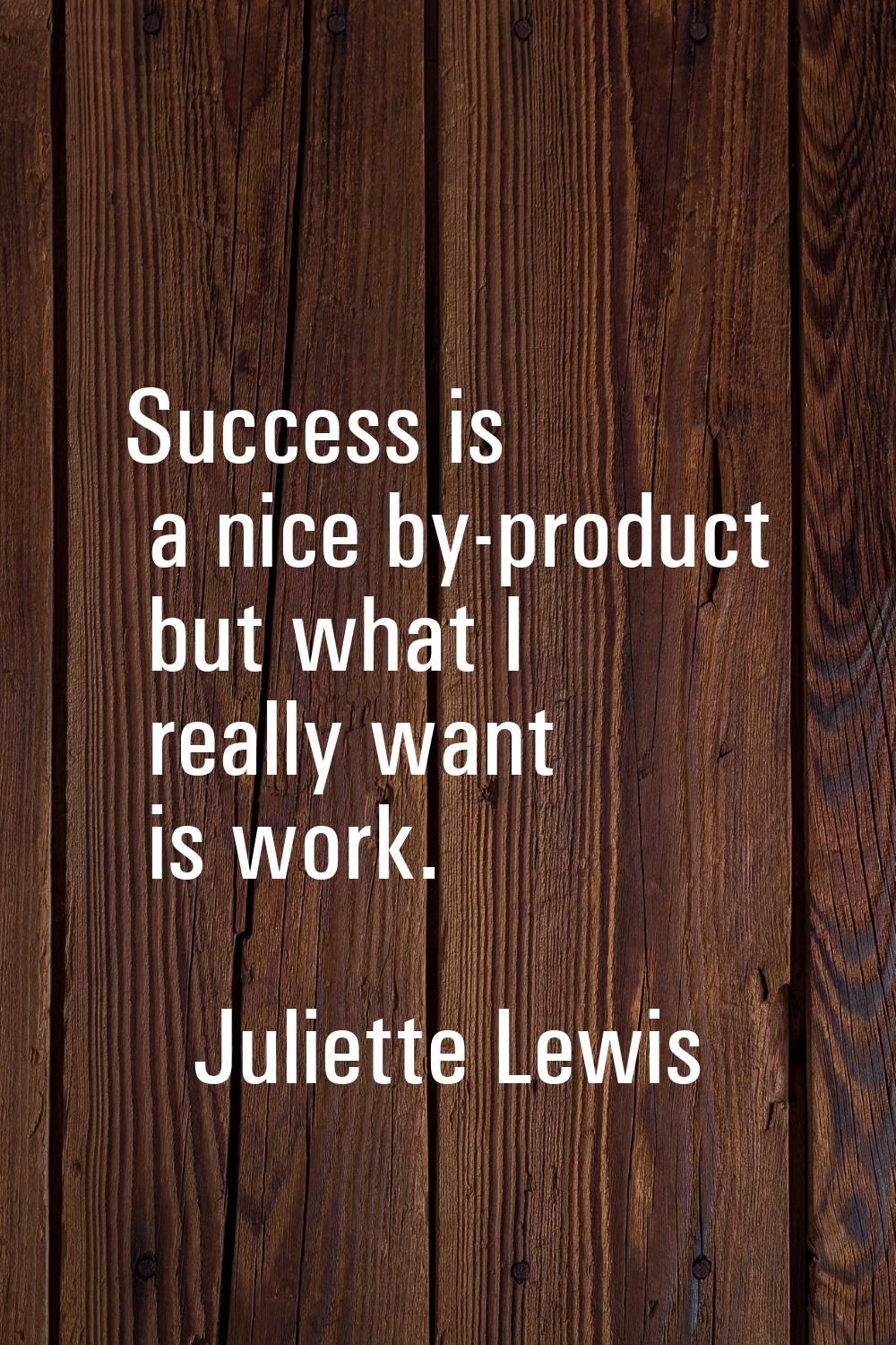 Success is a nice by-product but what I really want is work.