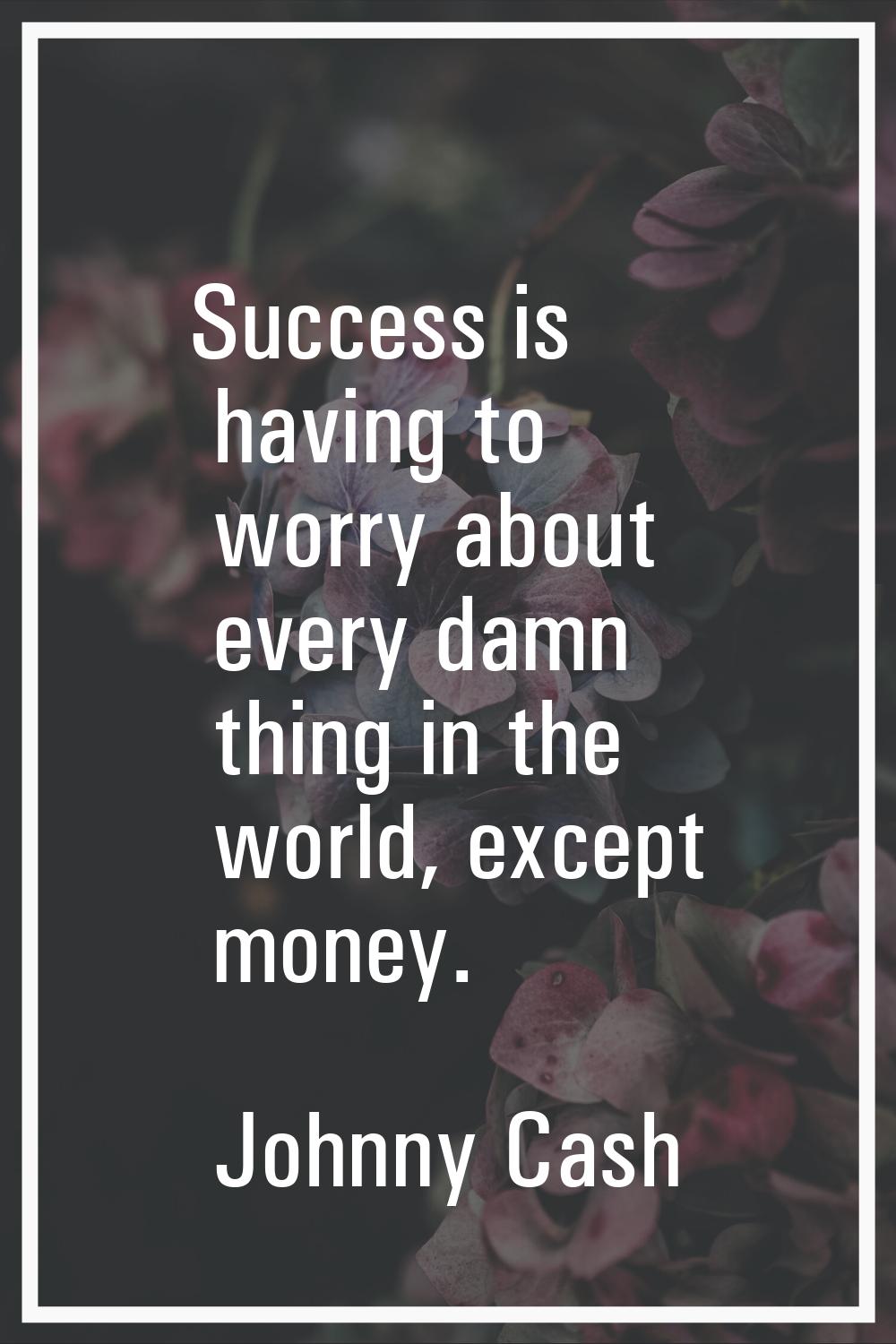 Success is having to worry about every damn thing in the world, except money.