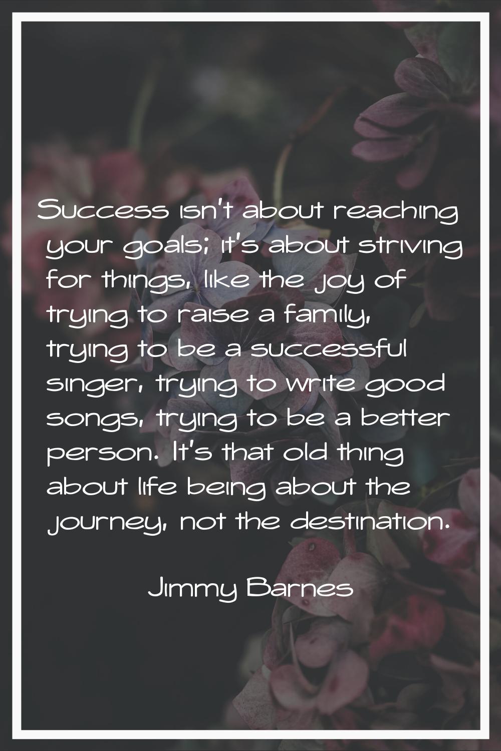Success isn't about reaching your goals; it's about striving for things, like the joy of trying to 