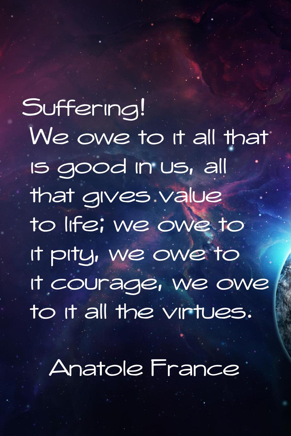 Suffering! We owe to it all that is good in us, all that gives value to life; we owe to it pity, we