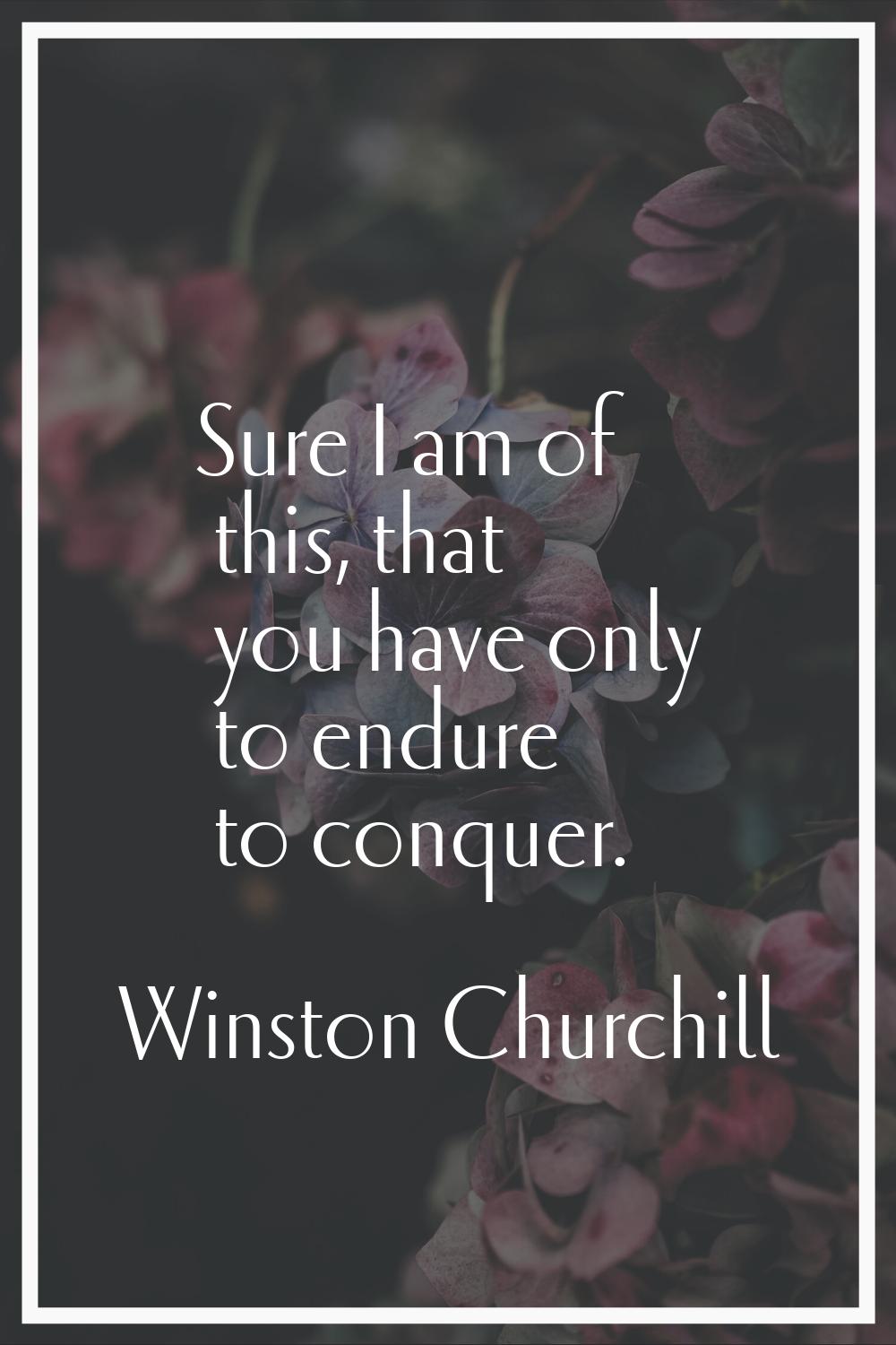 Sure I am of this, that you have only to endure to conquer.