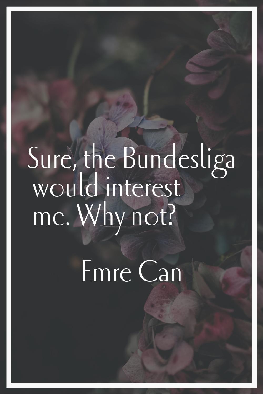 Sure, the Bundesliga would interest me. Why not?